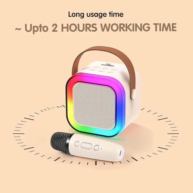 Portable Speaker With Mic